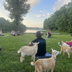 Little Goat Farm at the Lake