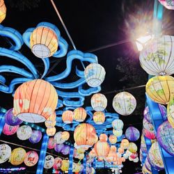 Chinese Lantern Festival