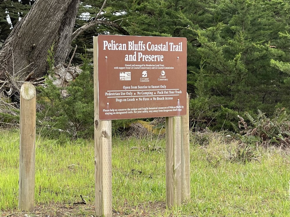 Pelican Bluffs Preserve Logo