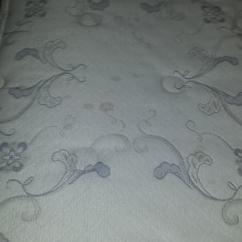 Organic Carpet Care - Bed After. - Carpet Cleaning Near Me - Austin, Texas
