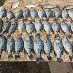 LeadCo Sinker And Lure Company - Crappie fishing