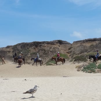 Poplar Beach - Horses - Beaches Near Me - Half Moon Bay, California Poplar Beach - Horses - Beaches Near Me - Half Moon Bay, California