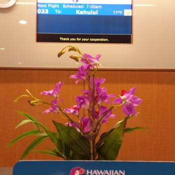 Hawaiian Airlines - Nice touch! - Airlines Near Me - Oakland, California