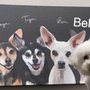 Photo of Barks + Bliss Veterinary Wellness