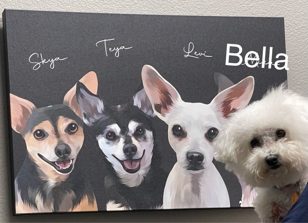 BARKS + BLISS VETERINARY WELLNESS Updated September 2024 19 Photos