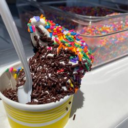 Kohr Bros Frozen Custard - regular cup of chocolate peanut butter - succulent!!!