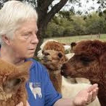 Ad Astra Alpacas - Farms Near Me - Baldwin City, Kansas Ad Astra Alpacas - Farms Near Me - Baldwin City, Kansas