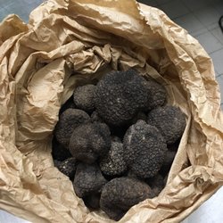 Alsterschleuse - Tartufo