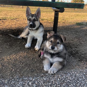 Upper Horsepen Creek Park - Dog Parks Near Me - Houston, Texas Upper Horsepen Creek Park - Dog Parks Near Me - Houston, Texas
