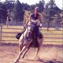 Photo of Spencers Rocken Horses