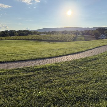 Good Spirit Farm - Wine Tasting Room Near Me - Round Hill, Virginia Good Spirit Farm - Wine Tasting Room Near Me - Round Hill, Virginia