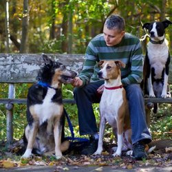 Green Grover - Owner Tanja O. with her dogs Jake, Moo, and Bailey.