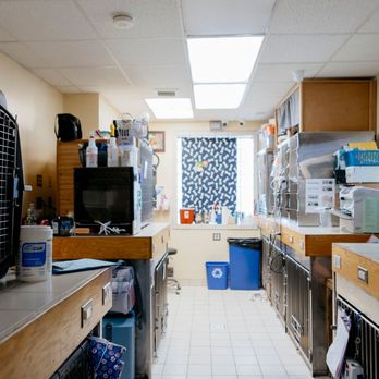 Creature Comforts Veterinary Service - Every kennel holds someone's whole world. We treat them like our own. - Veterinarians Near Me - Saylorsburg, Pennsylvania Creature Comforts Veterinary Service - Every kennel holds someone's whole world. We treat them like our own. - Veterinarians Near Me - Saylorsburg, Pennsylvania