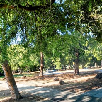Eleanor Pardee Park - Picnic tables - Parks Near Me - Palo Alto, California