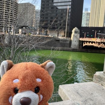 Chicago Riverwalk - Green for St. Patrick's Day! - Landmarks & Historical Buildings Near Me - Chicago, Illinois