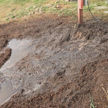 JGB Stump Grinding  - Stump not grind all the way to make them level. - Tree Services Near Me