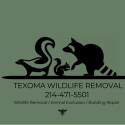 Texoma Wildlife Removal