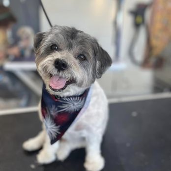 Ks Pup Parlor - Pet Groomers Near Me - Wichita, Kansas Ks Pup Parlor - Pet Groomers Near Me - Wichita, Kansas