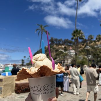 Scoops Homemade Ice Cream - Gelato Near Me - Avalon, California Scoops Homemade Ice Cream - Gelato Near Me - Avalon, California