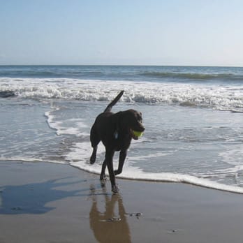 Arroyo Burro Beach - Beaches Near Me - Santa Barbara, California