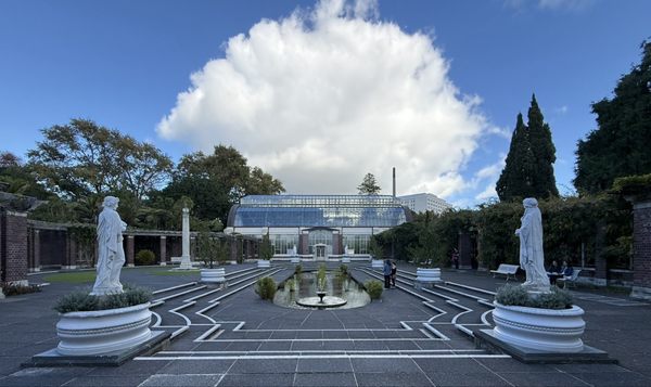 Auckland Domain by null