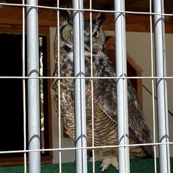 Animal Ark - Zoos Near Me - Reno, Nevada