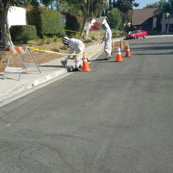 We Save Bees - Pest Control Near Me - Lake Forest, California