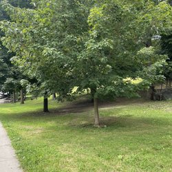 Ewen Park - Park