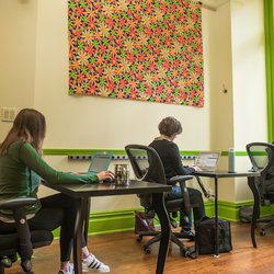 Park Slope Desk - A great work space and study spot to get away from distractions, concentrate, and get things done.