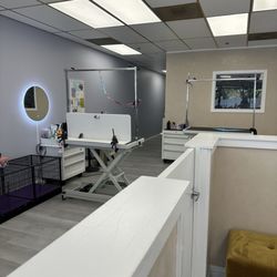 Luxe Pups - Very professional set up