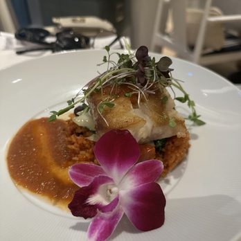 Ocean Hai - Grouper - New American Near Me - Clearwater Beach, Florida Ocean Hai - Grouper - New American Near Me - Clearwater Beach, Florida