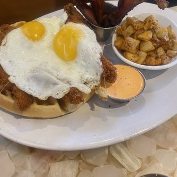 Daily Dose - Chicken bacon waffle - Breakfast & Brunch Near Me - Scottsdale, Arizona