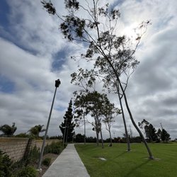 Bonita Long Canyon Park