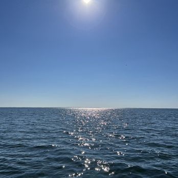 Scallop Cove Too - Beach Equipment Rentals Near Me