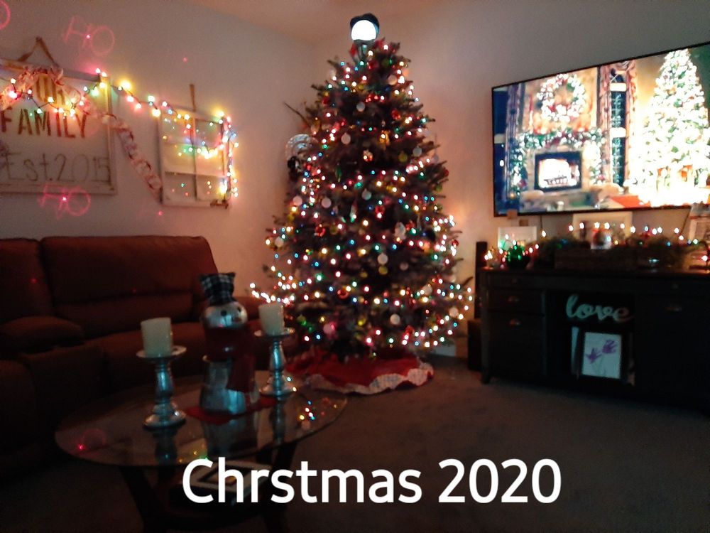 BAKER’S CHRISTMAS TREE FARM 1235 Colusa Ave, Yuba City, California