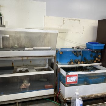 Ocean Plus Fish Market - Inside - Seafood Markets Near Me - Rosemead, California Ocean Plus Fish Market - Inside - Seafood Markets Near Me - Rosemead, California