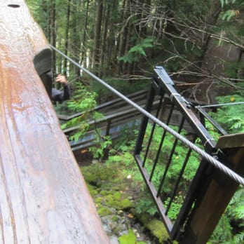 Ziptrek Ecotours - Tours Near Me - Whistler, British Columbia Ziptrek Ecotours - Tours Near Me - Whistler, British Columbia