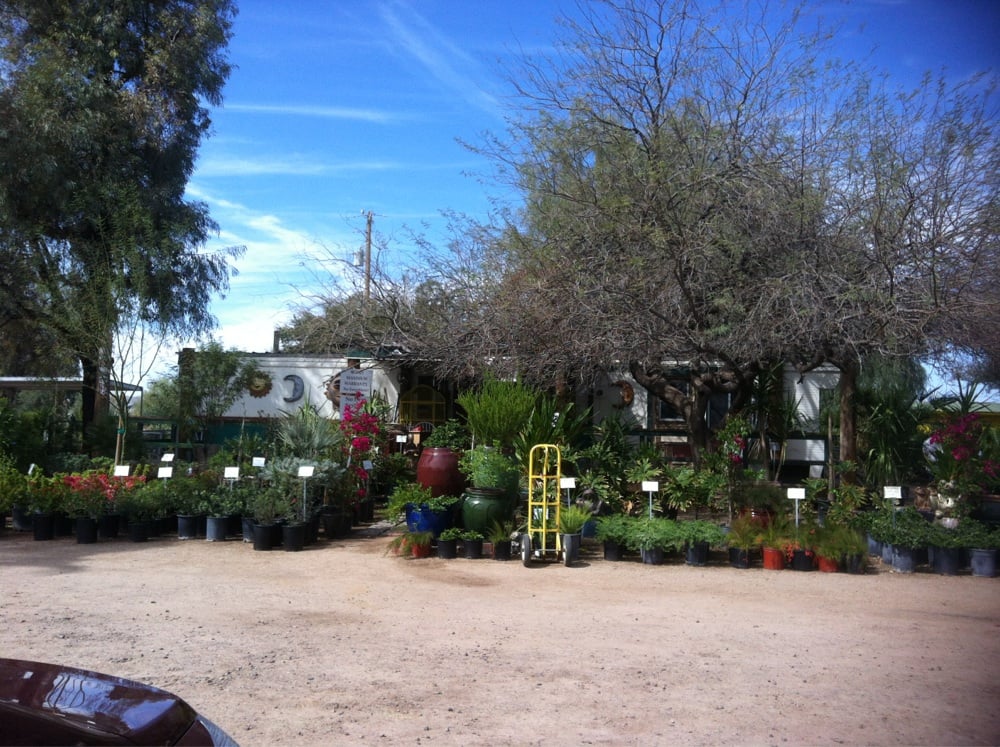 THE LEAF AND FEATHER FARM Updated July 2024 Casa Grande, Arizona