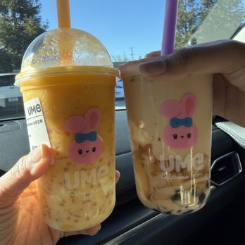 Ume Tea - Our order - Coffee & Tea Near Me - Cupertino, California