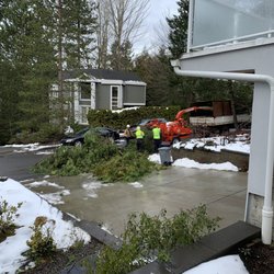 Eastside Timber & Property Development - Shred tree branches