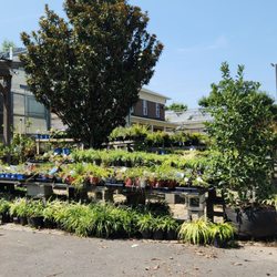 Lake Ridge Nursery