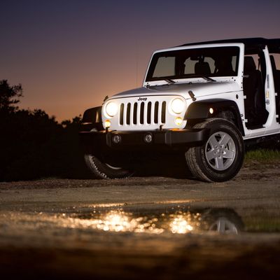 ISLAND JEEP EXCURSIONS - Updated November 2024 - 7322 Manatee Ave 290