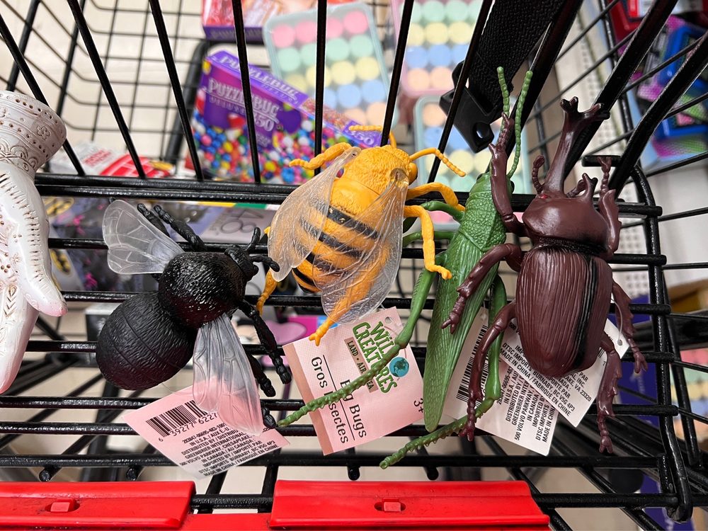 DOLLAR TREE Updated August 2024 27 Photos & 47 Reviews 4033