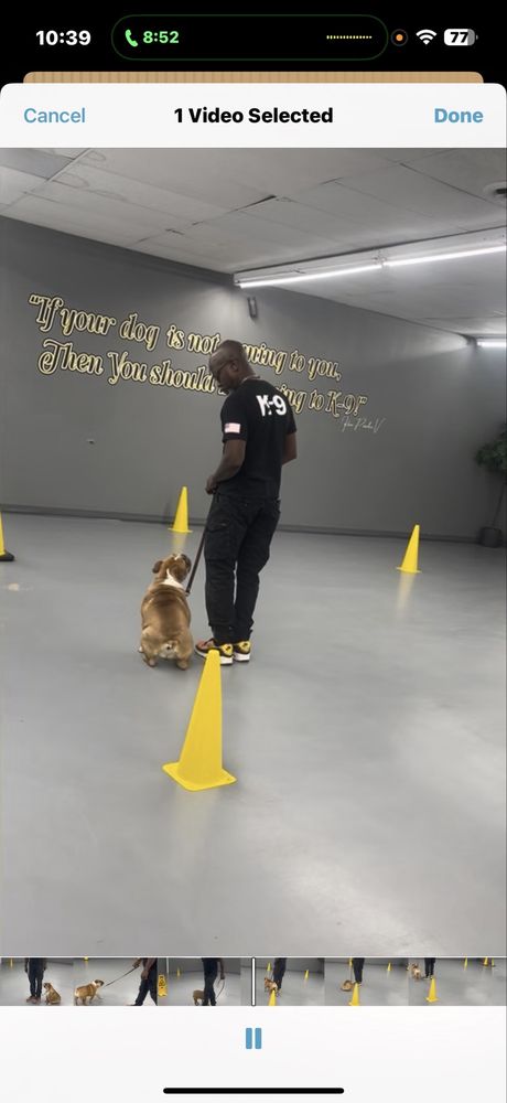 K9 Safety Consultants - safety consultant in Westland, MI