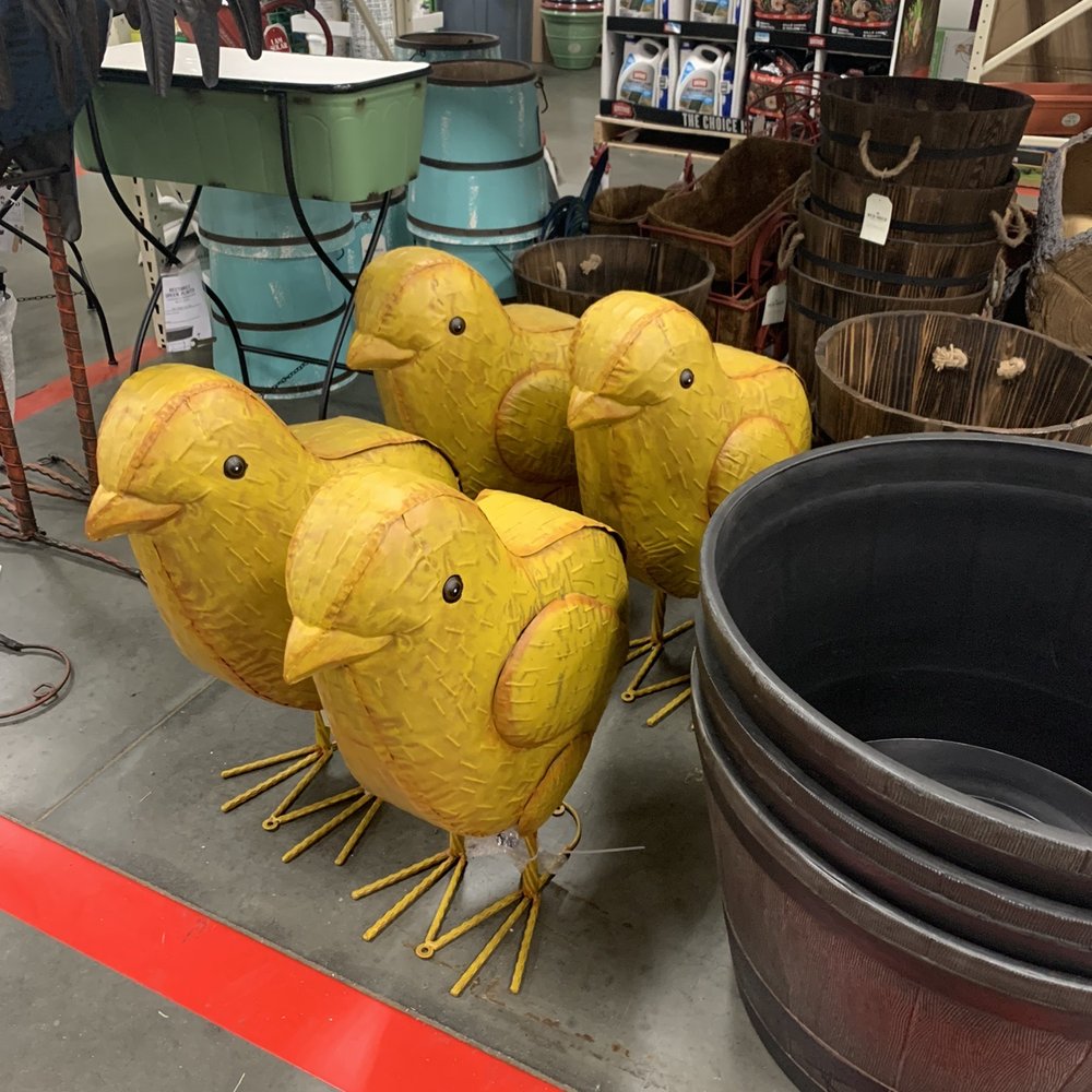 Tractor Supply - Pet Stores Near Me - Florence, South Carolina Tractor Supply - Pet Stores Near Me - Florence, South Carolina