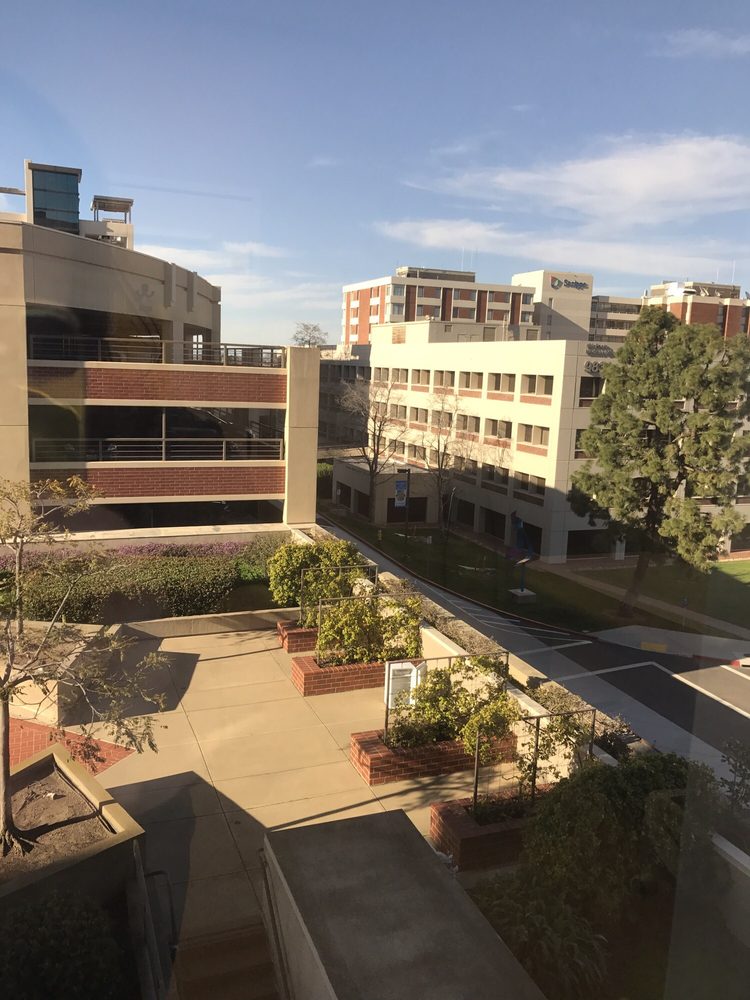 The Neurology Center Carlsbad Ca Fax