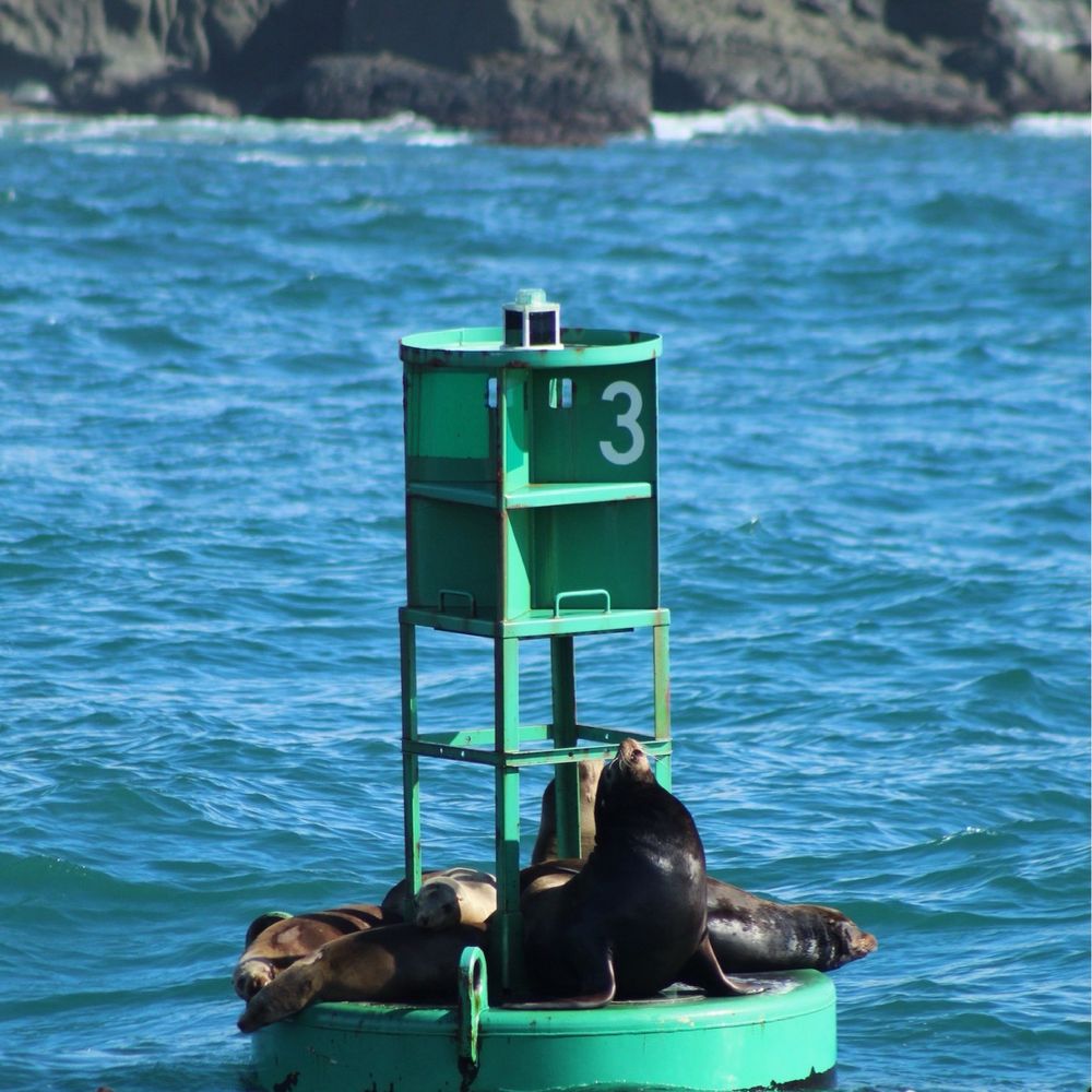 All Aboard Adventures - Fishing Near Me - Fort Bragg, California All Aboard Adventures - Fishing Near Me - Fort Bragg, California