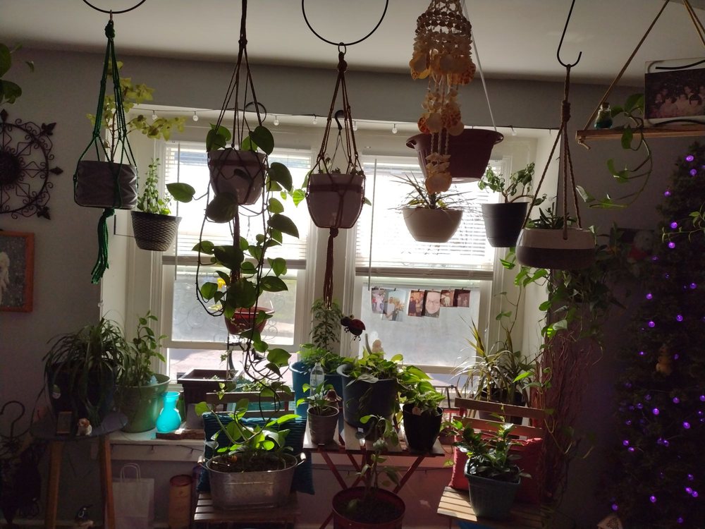 HARVEY PROPERTY MANAGEMENT GROUP Updated October 2024 11 Reviews