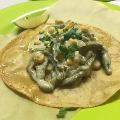 Mano De Santo by null