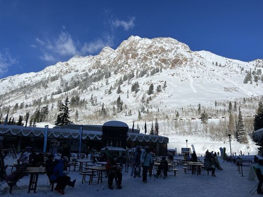 Snowbird by null